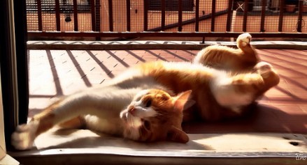 8680146951_40a50fe024